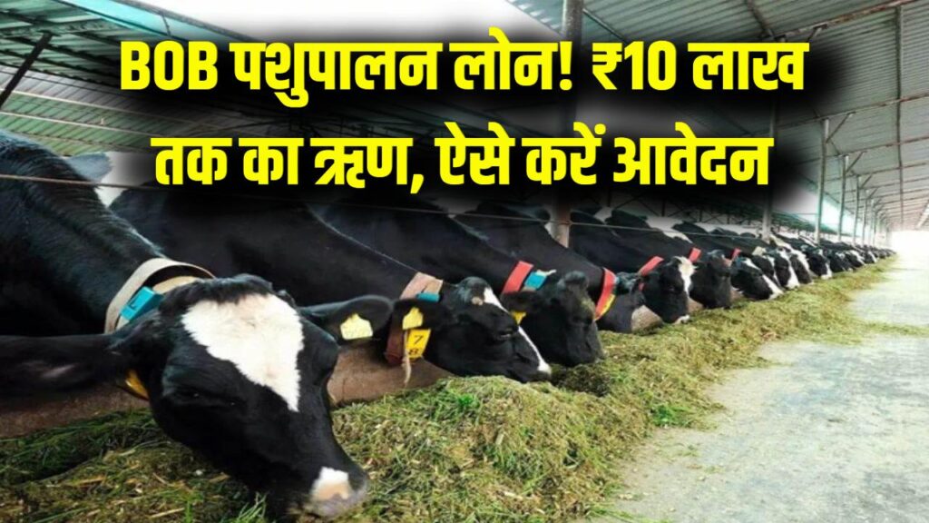 BOB Pashupalan Loan: पशुपालन के लिए बैंक ऑफ बड़ौदा दे रहा ₹10 लाख तक का लोन, आवेदन की प्रक्रिया जानें