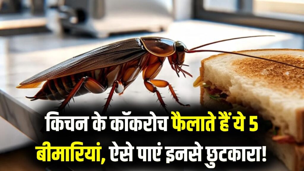 किचन में घूमते कॉकरोच दे रहे हैं इन 5 खतरनाक बीमारियों को न्योता! उड़ा देंगी होश, आज ही आजमाएं इन्हें भगाने के पक्के उपाय