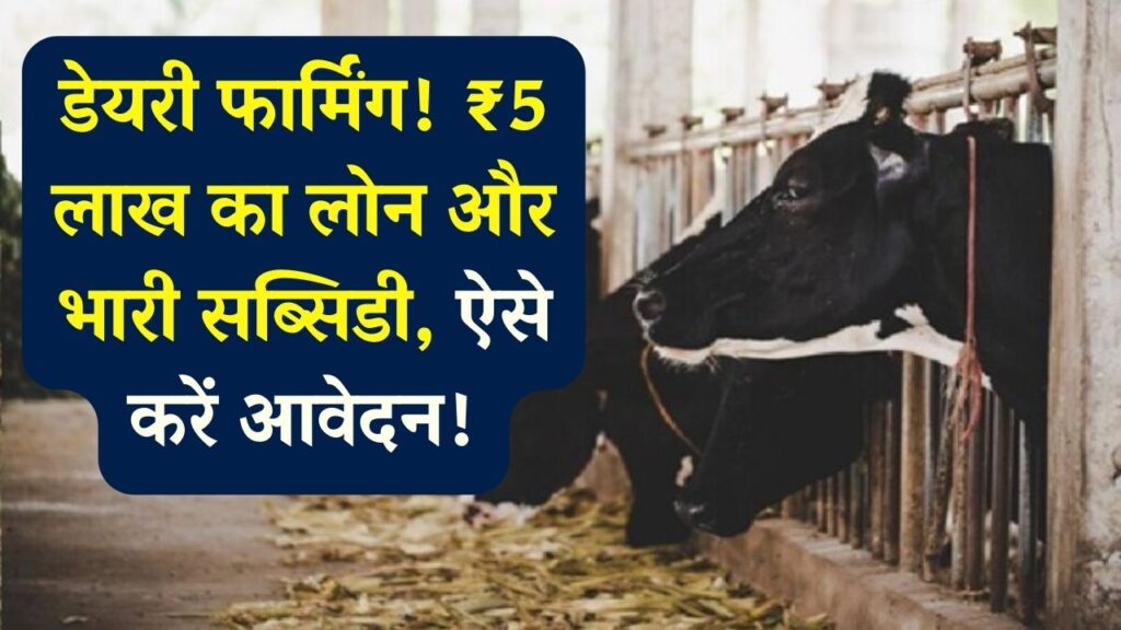 Dairy Farming: पशुपालन के लिए सरकार दे रही है ₹5 लाख तक का लोन! डेयरी फार्मिंग पर मिलेगी बंपर सब्सिडी, जानें ऑनलाइन आवेदन का नया तरीका