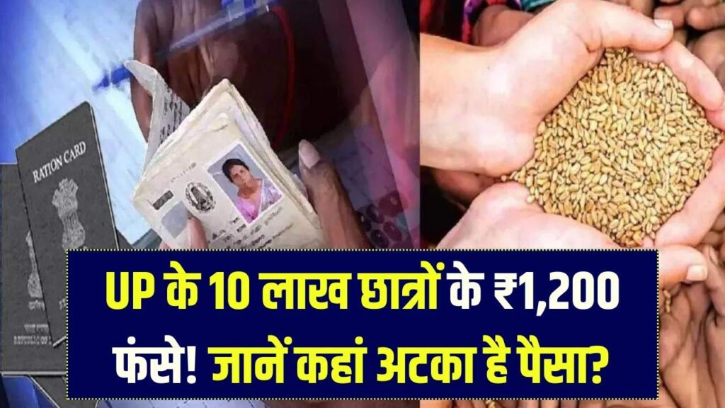 30 दिसंबर के बाद नहीं मिलेगा फ्री राशन! तुरंत करा लें राशन कार्ड की e-KYC, सरकार ने फर्जी कार्डों पर कसी नकेल