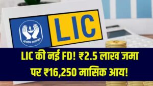 LIC FD Scheme: LIC ने लॉन्च की नई FD स्कीम! ₹2.5 लाख जमा करें और पाएं ₹16,250 प्रतिमाह