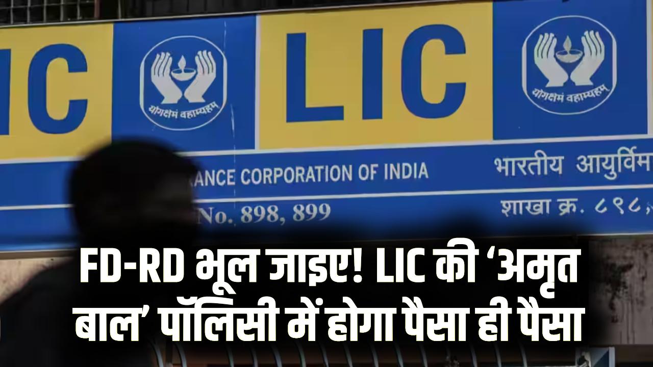 FD-RD से कहीं आगे LIC की ‘अमृत बाल’ पॉलिसी! बैंक में होगा पैसा ही पैसा, देखें अभी