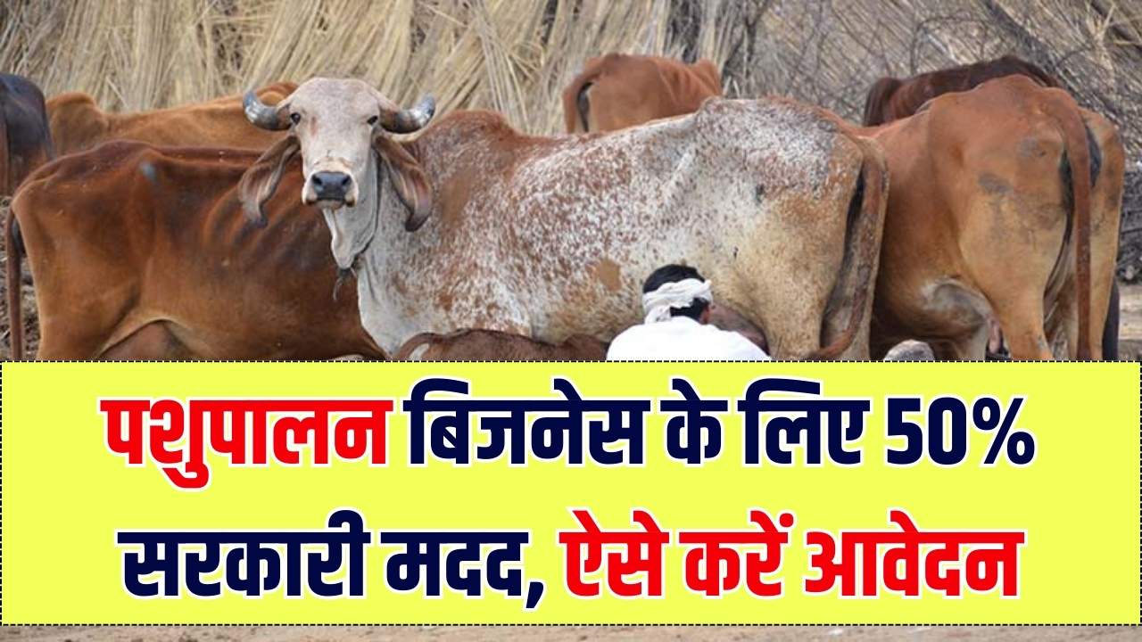 पशुपालन बिजनेस के लिए सरकार दे रही है 50% की भारी सब्सिडी! जानें क्या है राष्ट्रीय पशुधन मिशन और कैसे उठाएं लाभ
