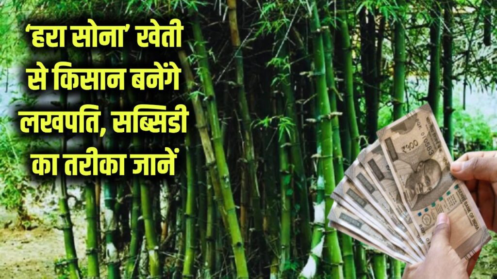 Hara Sona: कम मेहनत में किसान बन जाएंगे लखपति! 'हरा सोना' उगाकर घर लाएं लाखों रुपये, सरकार से सब्सिडी पाने का तरीका भी जानें