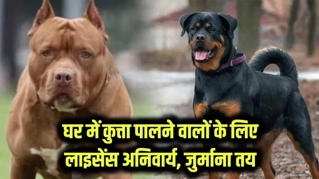 dog license bylaws 2025