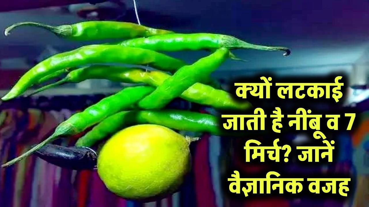 नींबू के साथ 7 मिर्च क्यों लटकाई जाती है? सिर्फ अंधविश्वास नहीं! ये है असल वैज्ञानिक वजह